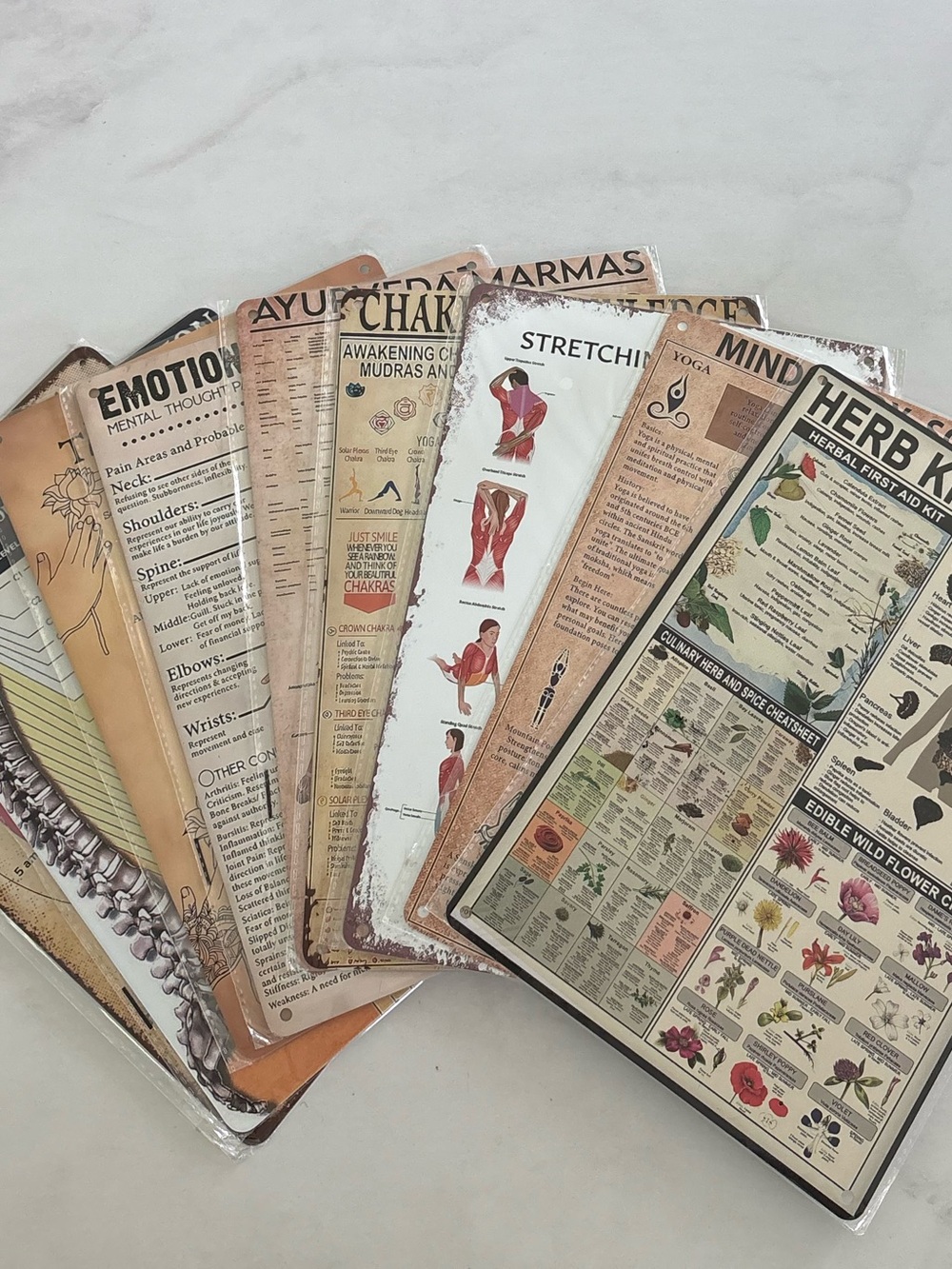 SET OF 9 Herb Knowledge & Wellness Anatomy Chart Set - Vintage Medical Posters